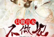 只做宫女不做妃殷桃香上官雩,只做宫女不做妃最新章节-干果文学
