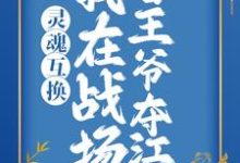 灵魂互换:我在战场替王爷夺江山小说,灵魂互换:我在战场替王爷夺江山在线阅读-干果文学