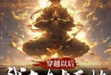 苏尘为主角的小说穿越以后,我在太虚圣地做圣子在线阅读-干果文学
