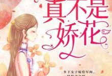 已完结小说《少帅,夫人真不是娇花!》最新章节-干果文学