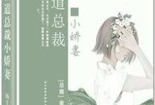 霸道总裁小娇妻小说有没有完结版在线?-干果文学