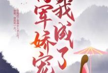 主人公叫周小蝶的小说哪里免费看-干果文学