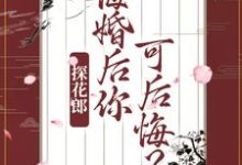 主角叫柳文茵谢安的小说在哪阅读-干果文学