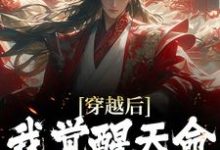完结版《穿越后,我觉醒天命反派系统》章节阅读-干果文学