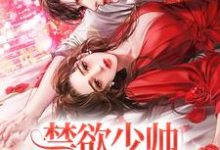 《禁欲少帅,他情陷美人怀》全集免费在线阅读(沈聿青宋徽宜)-干果文学