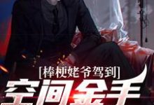 小说《棒梗姥爷驾到,空间金手指开启!》章节阅读-干果文学