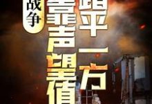 战争:我靠声望值踏平一方小说无弹窗阅读的网站推荐-干果文学