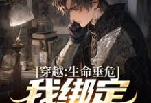 主角叫颜清安柳清欢的小说在哪阅读-干果文学