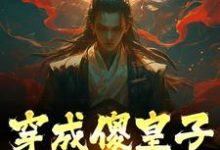 穿成傻皇子,我大闹京都小说阅读,穿成傻皇子,我大闹京都完结版-干果文学