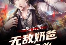 一胎七宝:无敌奶爸超级凶小说的最新章节在哪里更新?免费追踪阅读-干果文学