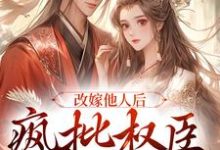 改嫁他人后,疯批权臣发疯了这本小说在哪里可以看?哪里有免费试读章节?-干果文学