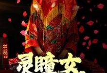诡异:灵瞳女,蛇灵夫 苏婉白重,诡异:灵瞳女,蛇灵夫小说免费阅读-干果文学