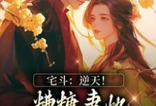 宅斗:逆天!糟糠妻她转身成了王妃小说,宅斗:逆天!糟糠妻她转身成了王妃免费阅读-干果文学
