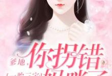 一胎三宝:爹地,你拐错妈咪了!这本小说在哪里可以看?哪里有免费试读章节?-干果文学