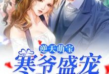 小说《逆天萌宝:寒爷盛宠神秘甜妻》章节免费阅读-干果文学