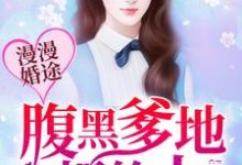 漫漫婚途:腹黑爹地很给力小说免费资源,漫漫婚途:腹黑爹地很给力在线阅读-干果文学