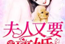 哪里能找到霍少,夫人又要离婚小说的全部章节?-干果文学