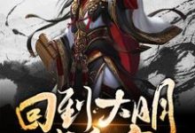 回到大明当皇帝小说全文阅读需要付费吗?寻找免费资源-干果文学