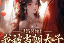 退婚另嫁!我被当朝太子狂宠入骨小说全文哪里可以免费看?-干果文学