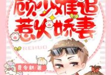 苏若夏顾南柯小说在哪里可以看-干果文学