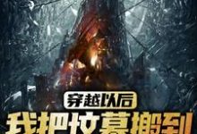 穿越以后,我把坟墓搬到了秦始皇陵顾青,穿越以后,我把坟墓搬到了秦始皇陵章节在线阅读-干果文学