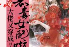 免费看快穿:大佬又穿成恶毒女配啦!小说的网站有哪些?-干果文学