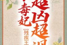 完结版《残疾王爷的小毒妃超凶超飒》在线免费阅读-干果文学