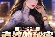 相恋十年,老婆的秘密扎心了主角许文强林婉瑜小说完结版章节在线阅读-干果文学