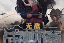 无敌战神奶爸王涛唐雅雯王君归小说在线章节免费阅读-干果文学