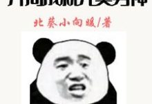 秦淮为主角的小说叫什么?免费看神豪:开局成就完美男神-干果文学