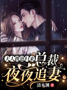 夫人携崽归来，总裁夜夜追妻林不念霍祁深，夫人携崽归来，总裁夜夜追妻章节在线阅读