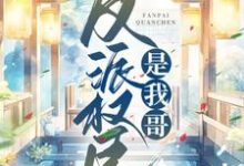 反派权臣是我哥最新章节,反派权臣是我哥免费阅读-干果文学