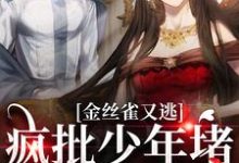 金丝雀又逃,疯批少年堵巷红了眼小说全文阅读需要付费吗?寻找免费资源-干果文学