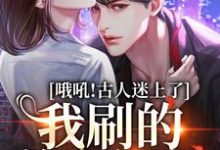 安然小说《哦吼!古人迷上了我刷的美女视频》在线阅读-干果文学