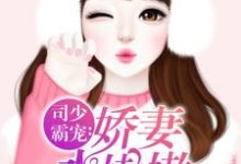 司少霸宠:娇妻水嫩嫩莫小绾司凌钺小说免费阅读-干果文学