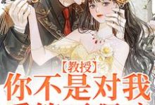 教授,你不是对我爱答不理嘛小说的无弹窗阅读体验,寻找免费阅读网站-干果文学