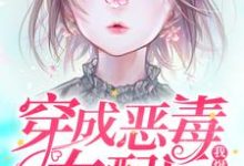 穿成恶毒女配后我爆红了小说全文哪里可以免费看?-干果文学