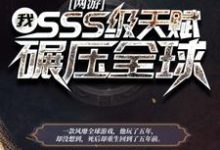 主角陈风韩若霜秦雨菲小说完结版在线阅读,网游:我,SSS级天赋,碾压全球免费看-干果文学