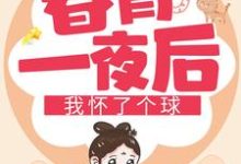 春宵一夜后我怀了个球章节免费在线阅读,凌萱庄皓斓完结版-干果文学