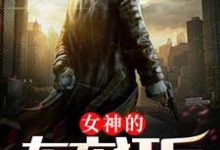 陈龙江燕小说叫什么(女神的布衣狂兵免费阅读)-干果文学