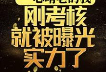 求林辉小说免费资源-干果文学