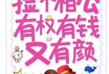 种田:捡个相公有权有钱又有颜小说,种田:捡个相公有权有钱又有颜免费阅读-干果文学