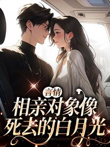 免费阅读佟苒李泊远为主角的小说，言情：相亲对象像死去的白月光在线看