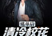 《逃单后,清冷校花她后悔了》小说章节列表免费试读,陆晨小说在线阅读-干果文学