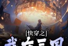 快穿之我在三国争霸天下小说全文阅读需要付费吗?寻找免费资源-干果文学