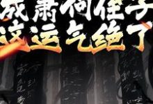 已完结小说《开局成萧何侄子,这运气绝了》在线章节阅读-干果文学
