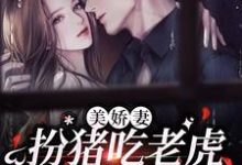 林慧徐东升小说《美娇妻扮猪吃老虎,爆改懒汉老公》在线阅读-干果文学