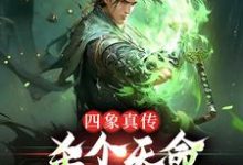 四象真传,杀个天命不是简简单单小说最新更新在哪里?免费在线看-干果文学