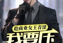 趁商业女王青涩,我要压她一筹!小说无弹窗阅读的网站推荐-干果文学