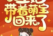 王爷,王妃带着萌宝回来了!小说有没有完整的免费版本在线阅读?-干果文学